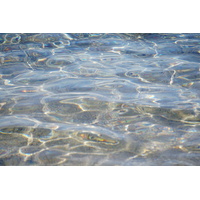 Photo France Corse Plage de Rondinara 2017-07 18
