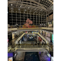 Photo Singapour Marina Bay Sands 2023-01 12