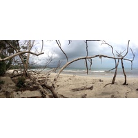 Photo Costa Rica Cahuita 2015-03 99