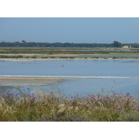 Photo France Presqu'île de Giens 2009-05 16