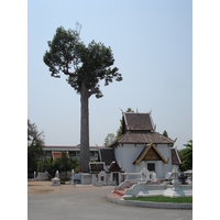 Photo Thaïlande Chiang Mai Centre(intra Canal) Temple Chediluang Varaviharn 2006-04 4