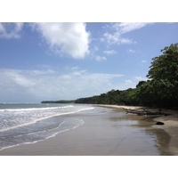Photo Costa Rica Cahuita 2015-03 210