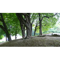 Photo France Paris Parc des Buttes-Chaumont 2007-08 109