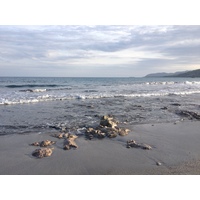 Photo Costa Rica 2015-03 17