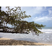 Photo Costa Rica Cahuita 2015-03 193
