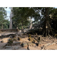 Photo Cambodge Siem Reap Ta Prohm 2023-01 122