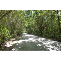 Photo Seychelles Praslin 2011-10 93