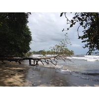 Photo Costa Rica Cahuita 2015-03 116