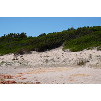 Photo France Corse Plage de Rondinara 2017-07 4