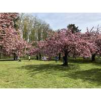 Photo France Parc de Sceaux 2019-04 10