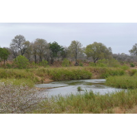 Photo Afrique du Sud Parc National Kruger Rivière Sable 2008-09 17