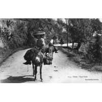 Photo France Corse Cartes postales anciennes 1900-01 278
