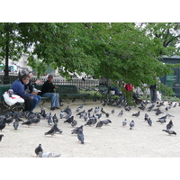 Photo France Paris Notre Dame 2007-05 218