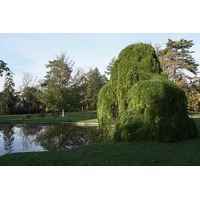 Photo France Paris Bagatelles 2016-10 24