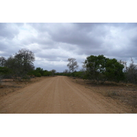 Photo Afrique du Sud Parc National Kruger 2008-09 144