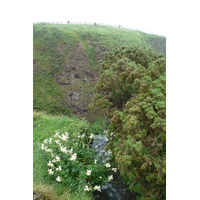 Photo Royaume-Uni Écosse Château de Dunnottar 2011-07 15