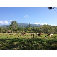 Photo Costa Rica 2015-03 15