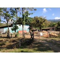 Photo Costa Rica Uvita 2015-03 7