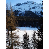 Photo Suisse Saint Moritz Schlarigna 2007-01 47
