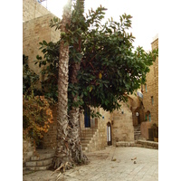 Photo Israel Jaffa 2006-12 209