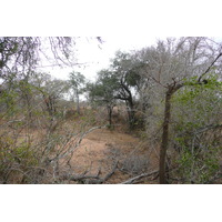 Photo Afrique du Sud Parc National Kruger 2008-09 143