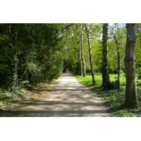 Photo France Château de Chenonceau Jardins de Chenonceau 2008-04 71