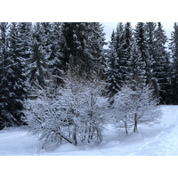 Photo France La Clusaz 2017-12 95