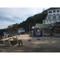 Photo Thaïlande Hua hin 2016-01 15