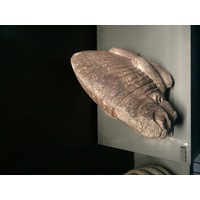 Photo France Paris Musée Quai Branly 2015-09 53