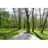 Photo France Château de Chenonceau Jardins de Chenonceau 2008-04 18