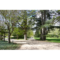 Photo France Château de Chenonceau Jardins de Chenonceau 2008-04 3