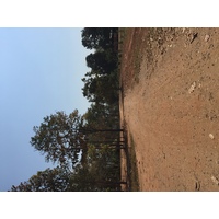 Photo Thaïlande Parc National Phu Hin Rong Kla 2014-12 336