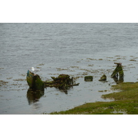 Photo Royaume-Uni Écosse Lossiemouth 2011-07 13
