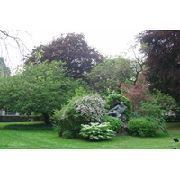 Photo France Paris Jardin du Luxembourg 2007-04 90