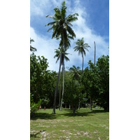 Photo Seychelles Grande Soeur 2011-10 93