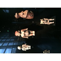 Photo France Paris Musée Quai Branly 2015-09 47