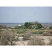 Photo France Camargue 2006-06 6