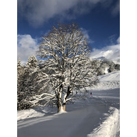 Photo France La Clusaz 2017-12 64