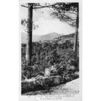 Photo France Corse Cartes postales anciennes 1900-01 255