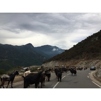 Photo France Corse Vallée d'Alesani 2017-07 1