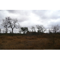 Photo Afrique du Sud Parc National Kruger route de la rivière Crocodile 2008-09 16