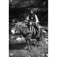 Photo France Corse Cartes postales anciennes 1900-01 195
