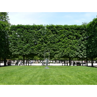 Photo France Paris Jardin des Tuileries 2007-05 377
