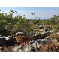 Photo Thaïlande Parc National Phu Hin Rong Kla 2014-12 326