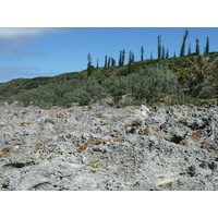 Photo Nouvelle-Calédonie Lifou Falaises de Xodre 2010-05 27