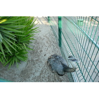 Photo France Nice Parc Phoenix 2007-10 9