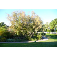 Photo France Nice Parc Phoenix 2007-10 31