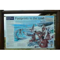 Photo Afrique du Sud Cape Saint Blaise 2008-09 2
