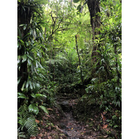 Photo Guadeloupe Chute du Carbet 2021-02 5