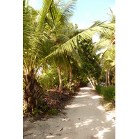Photo Seychelles Anse Lazio 2011-10 36